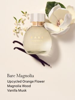 Bare Magnolia