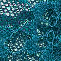 Lace Cheeky Panty, Dark And Stormy, swatch