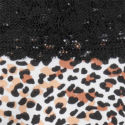 Lace Waist Cotton Cheeky Panty, Natural Animal, swatch