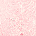 Shine Strap Lace Thong Panty, Angel Pink, swatch