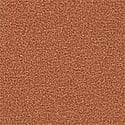 No-Show Thong Panty, Caramel, swatch