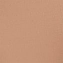 No-Show Cheeky Panty, Praline, swatch