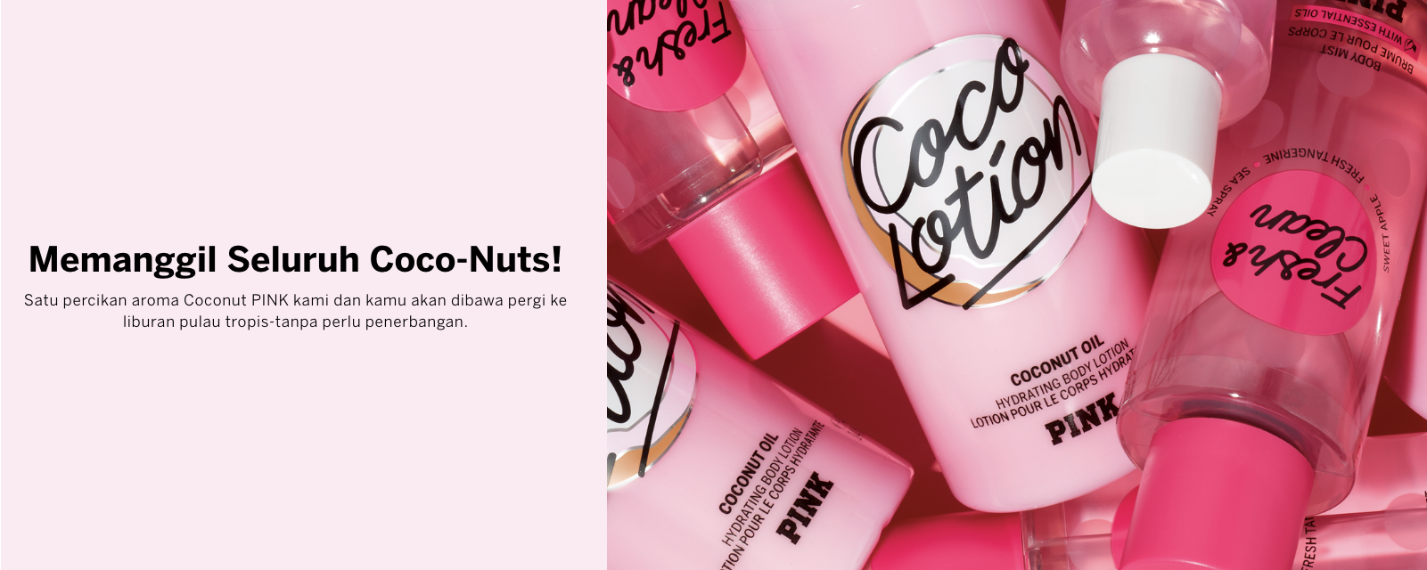 Body Mists PLP banner