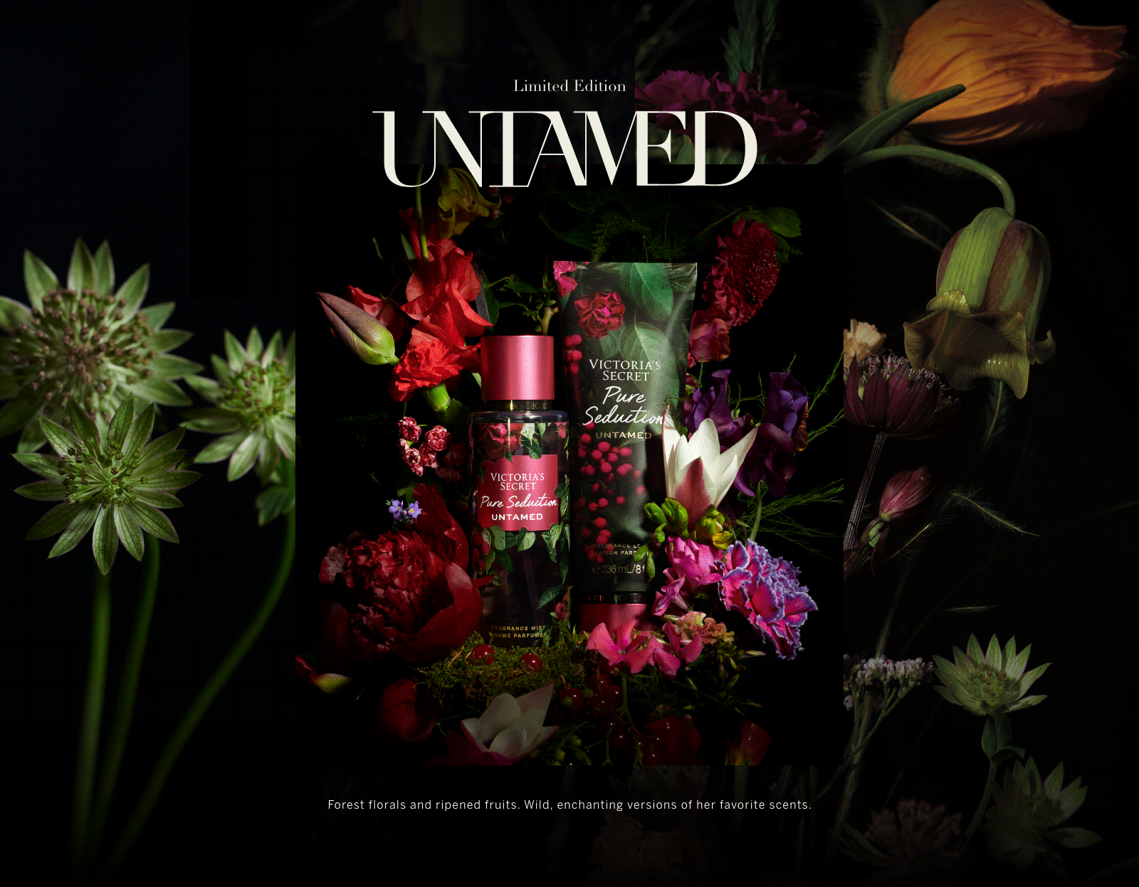 Body Washes & Scrubs PLP banner